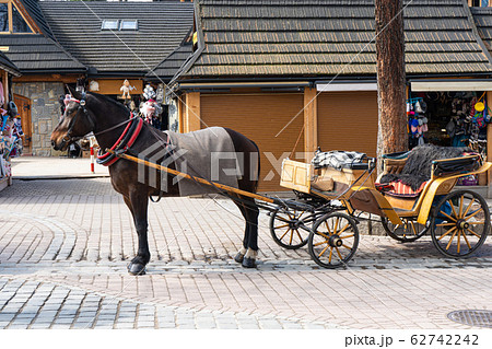 A beautiful horse harnessed to a cart for walking stands in front of the mini market. Poland, Zakopane. A beautiful horse harnessed to a cart for walking stands in front of the mini market. Poland, Zakopane. 62742242