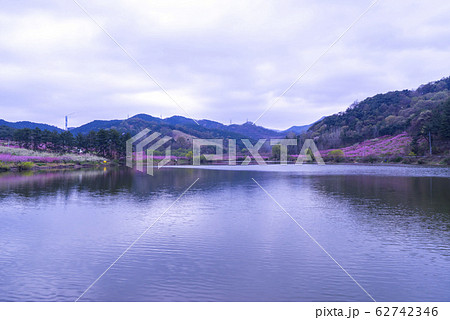 自然 風景 屋外 62742346