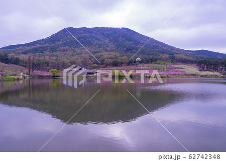 自然 風景 屋外 62742348