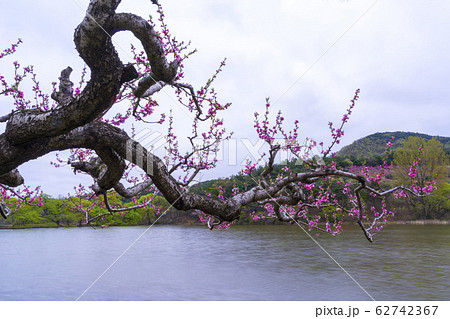 自然 風景 屋外 62742367
