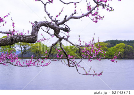 自然 風景 屋外 62742371