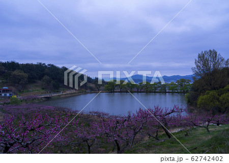自然 風景 屋外 62742402