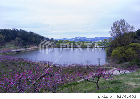 自然 風景 屋外 62742403