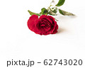 Beautiful red rose isolated on white background. 62743020