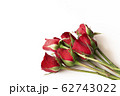Beautiful red rose isolated on white background. 62743022