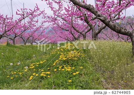 自然 風景 屋外 62744905