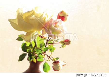 花瓶に生けたバラ 花瓶に生けたバラ 62745122