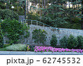 A flower bed with small pink flowers at the stairw 62745532
