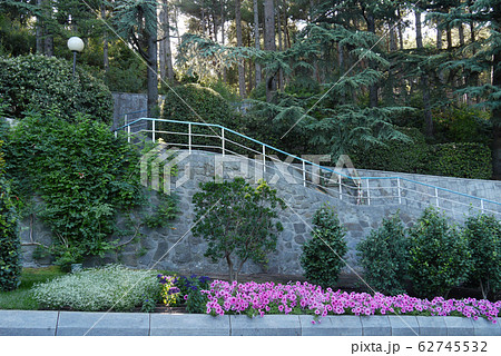 A flower bed with small pink flowers at the stairw A flower bed with small pink flowers at the stairw 62745532