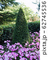 A tall ornately trimmed green bush with flower bed 62745536