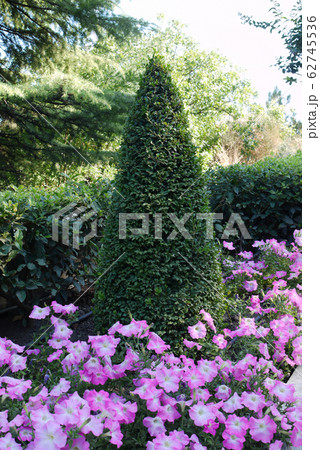 A tall ornately trimmed green bush with flower bed A tall ornately trimmed green bush with flower bed 62745536