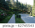 Park promenade alley with a huge number of differe 62745543