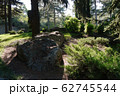 A picturesque glade in a park with large stones ly 62745544