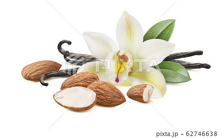 Vanilla beans with flower and almond nuts isolated on white background Vanilla beans with flower and almond nuts isolated on white background 62746638