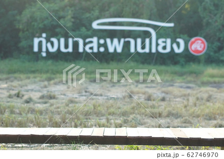 View of rice field in Nakhon Pathom, Thailand 62746970