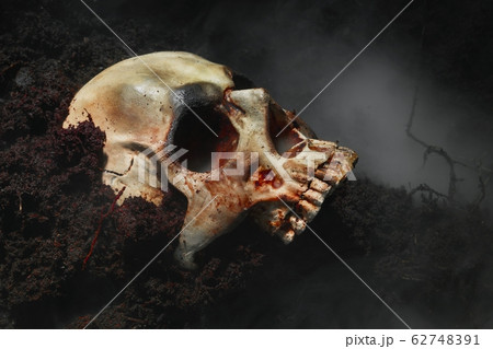 Skull of a dead man in on the ground 62748391