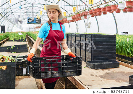 young woman works in an industrial flower 62748712