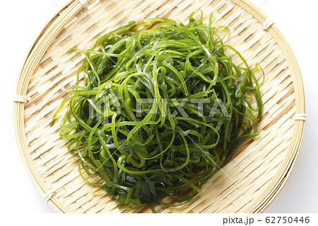 切りこんぶ15 切りこんぶ15 62750446