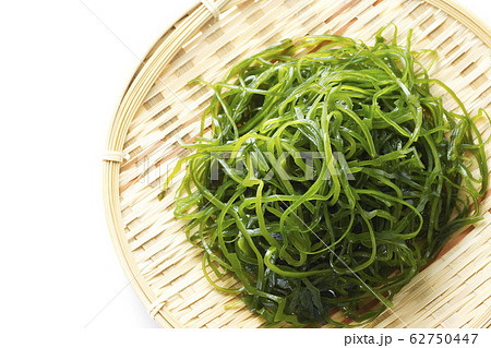 切りこんぶ16 62750447