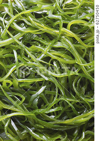 切りこんぶ19 切りこんぶ19 62750450