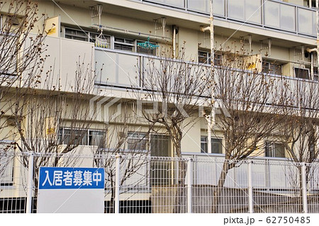 入居者募集中　引越しイメージ　看板 62750485