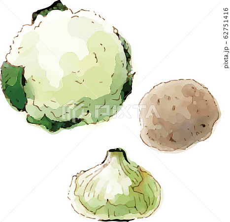 野菜 62751416