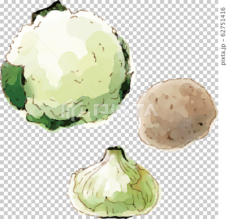 野菜 62751416