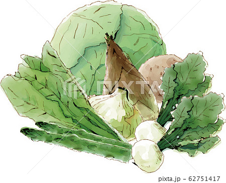 野菜 62751417
