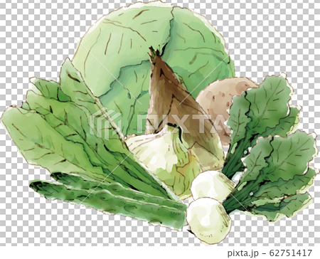 野菜 62751417
