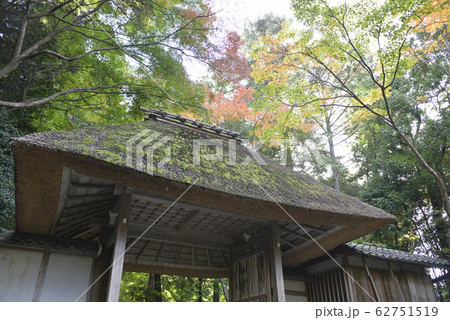 法然院 山門 法然院 山門 62751519