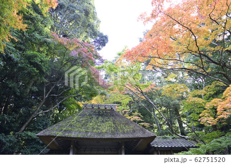 法然院 山門 法然院 山門 62751520