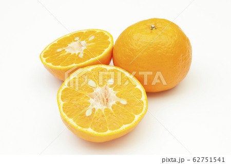 ぽんかん 62751541