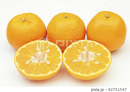 ぽんかん 62751547