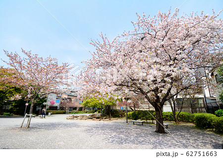 南蒲田三丁目さくら公園　　東京都大田区南蒲田 62751663