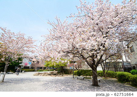 南蒲田三丁目さくら公園　　東京都大田区南蒲田 62751664