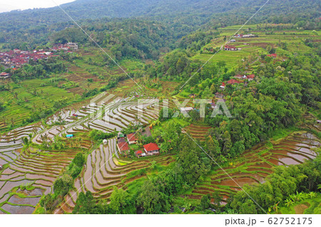 バリ島ジャティルイの棚田 62752175