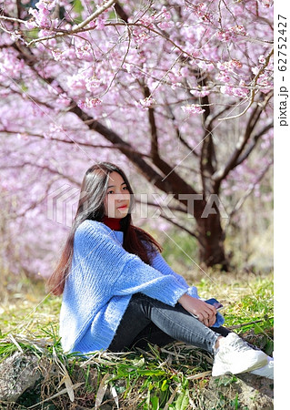 雪割り桜 雪割り桜 62752427