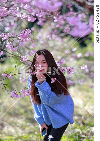 雪割り桜 62752428