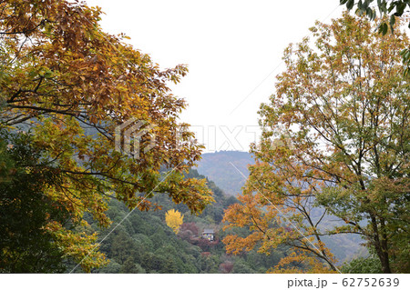 嵐山展望台 保津峡谷 嵐山展望台 保津峡谷 62752639