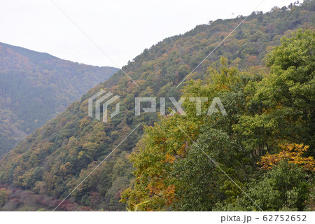 嵐山展望台 保津峡谷 嵐山展望台 保津峡谷 62752652