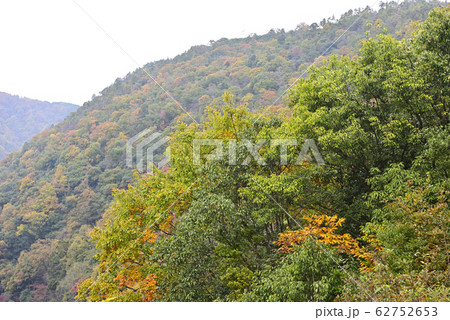 嵐山展望台 保津峡谷 嵐山展望台 保津峡谷 62752653