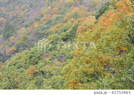 嵐山展望台　保津峡谷 62752665