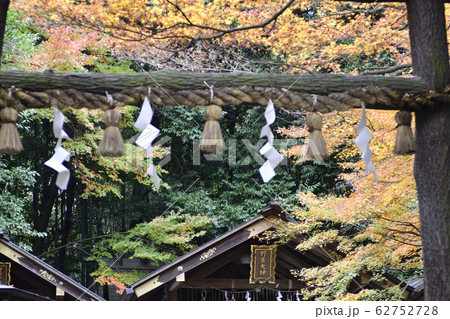 野宮神社　黒木の鳥居 62752728