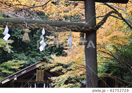 野宮神社 黒木の鳥居 野宮神社 黒木の鳥居 62752729