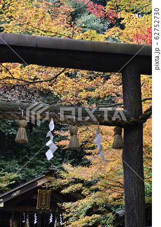 野宮神社 黒木の鳥居 野宮神社 黒木の鳥居 62752730