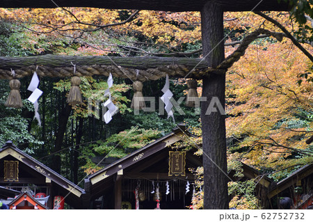 野宮神社 黒木の鳥居 野宮神社 黒木の鳥居 62752732