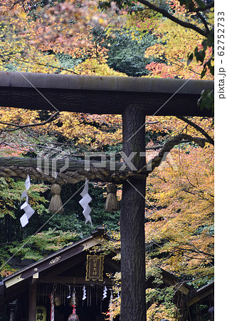 野宮神社 黒木の鳥居 野宮神社 黒木の鳥居 62752733