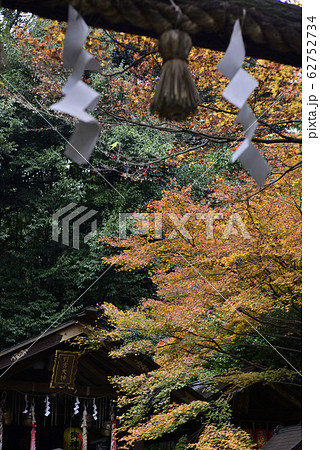 野宮神社 黒木の鳥居 野宮神社 黒木の鳥居 62752734