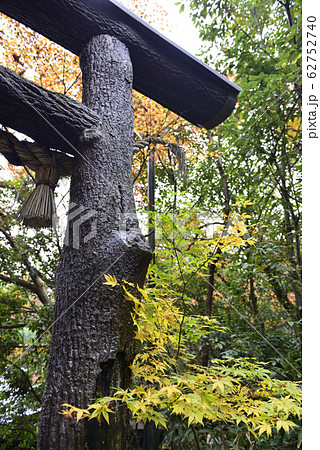 野宮神社 黒木の鳥居 野宮神社 黒木の鳥居 62752740