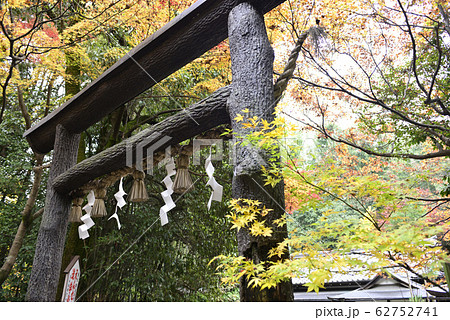 野宮神社 黒木の鳥居 野宮神社 黒木の鳥居 62752741